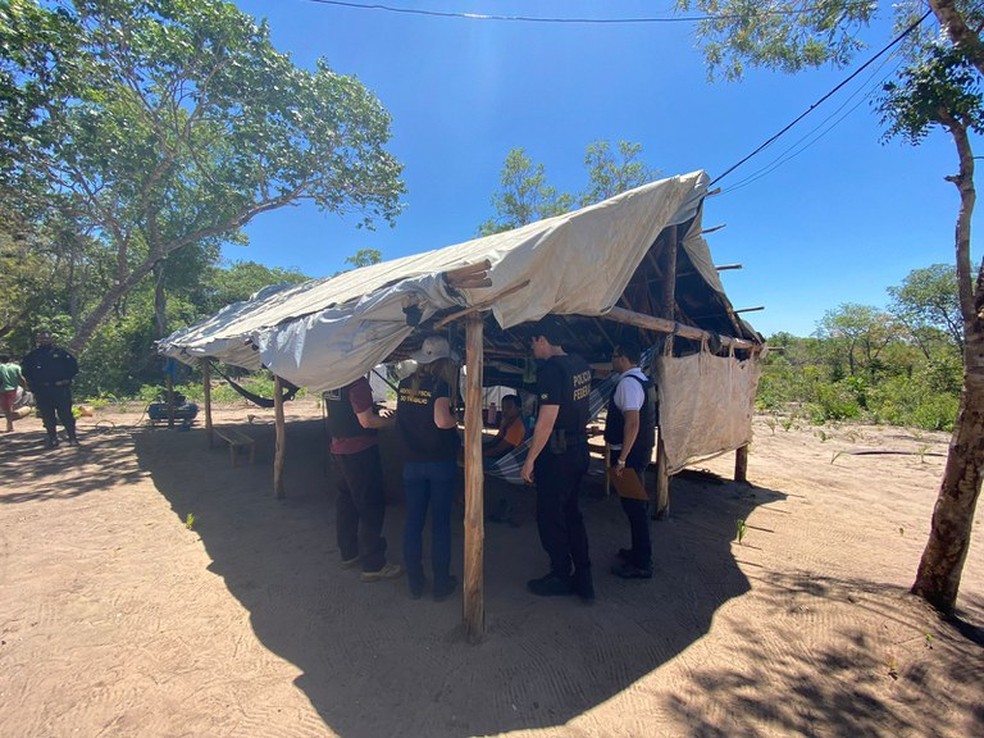 Vítimas viviam em barracos, sem acesso a água potável e banheiros. Vítimas foram resgatadas em situação de trabalho escravo no Tocantins — Foto: Reprodução/MTE